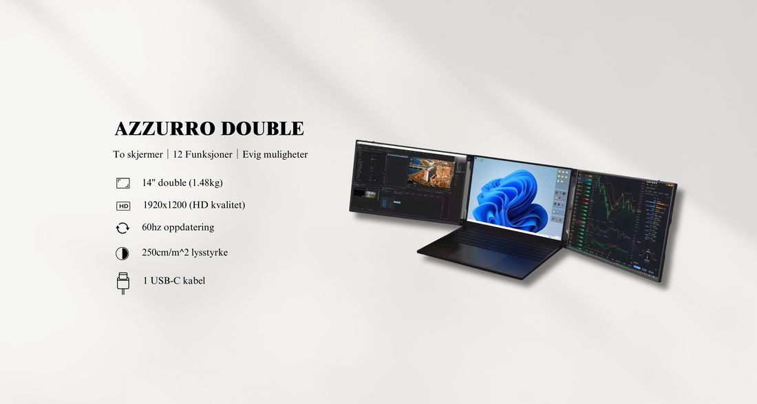 MUST-HAVE for remote arbeid